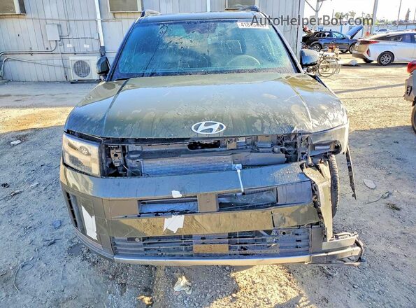 5NMP34G18SH020379 2025 HYUNDAI SANTA Green უკანა ხედი
