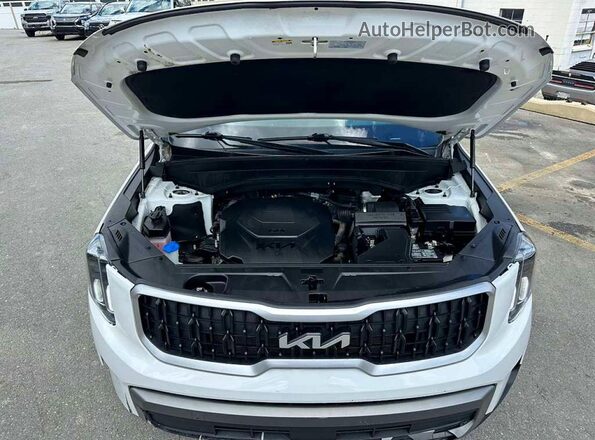 5XYP2DGC8PG353106 2023 KIA TELLURIDE Белый Вид задних сидений