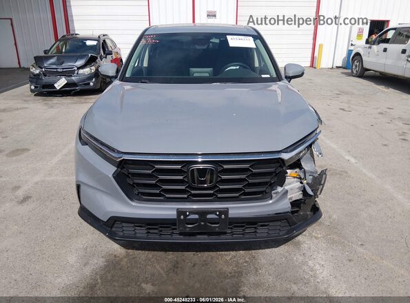 7FARS3H21RE004165 2024 HONDA CR-V Gray Widok wnętrza z tyłu