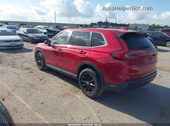 7FARS3H76RE003394 2024 HONDA CR-V Red Tył lewy