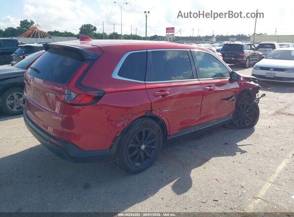 7FARS3H76RE003394 2024 HONDA CR-V Red Tył prawy
