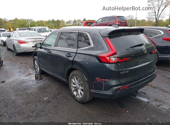 7FARS4H75SE005424 2025 HONDA CR-V Gray უკანა მარცხენა