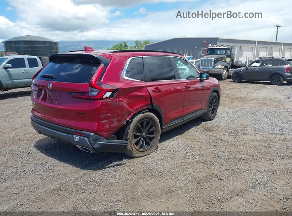 7FARS5H52PE008342 2023 HONDA CR-V Red Rear right