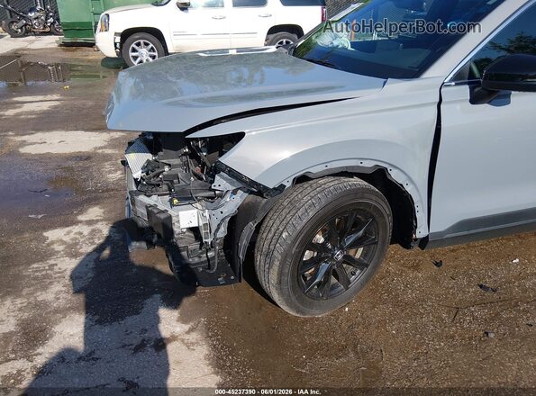 7FARS6H5XRE025897 2024 HONDA CR-V Gray 