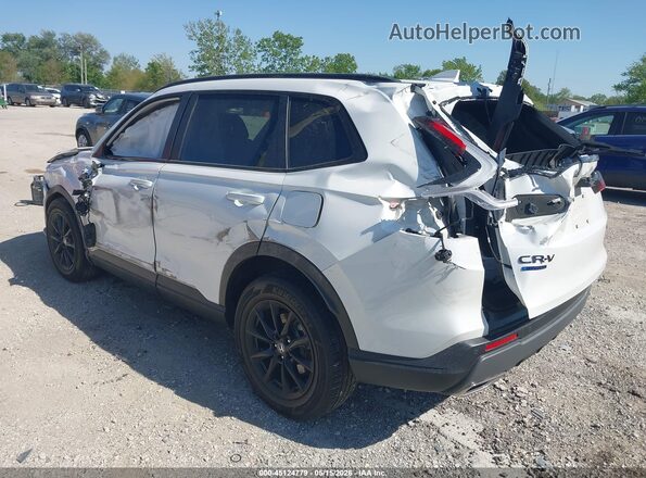 7FARS6H84TE038646 2026 HONDA CR-V White Tył lewy