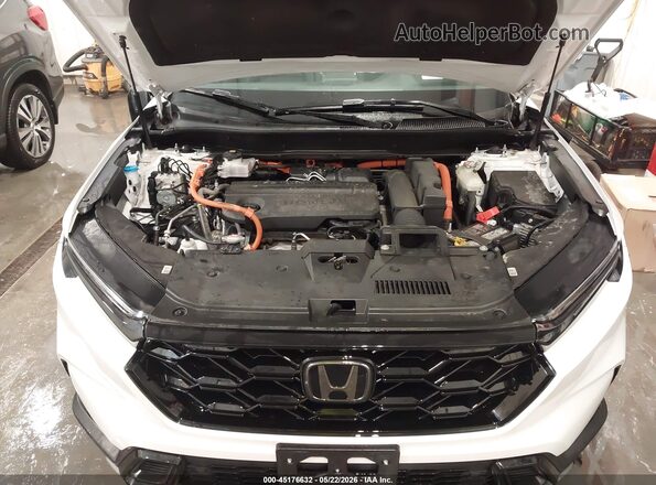 7FARS6H87SE042432 2025 HONDA CR-V White Вид ззаду