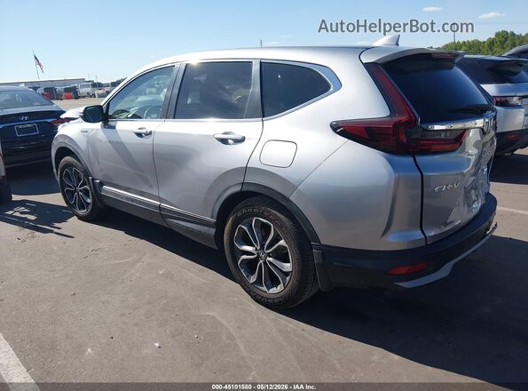 7FART6H50LE009499 2020 HONDA CR-V Silver Задня ліва чверть