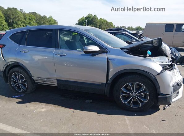 7FART6H50LE009499 2020 HONDA CR-V Silver Вид задньої частини салону