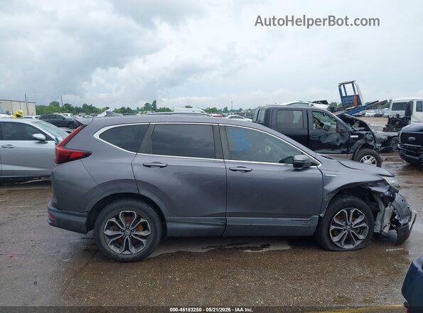 7FART6H89LE006191 2020 HONDA CR-V Gray Սալոնի հետևի տեսք