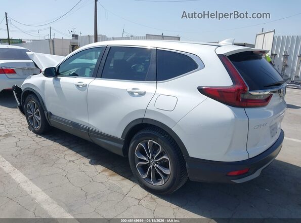 7FARW1H52LE004024 2020 HONDA CR-V White Задня ліва чверть