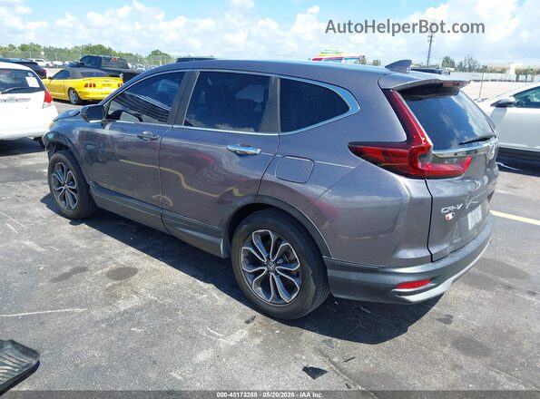 7FARW1H81LE024985 2020 HONDA CR-V Gray Հետևի ձախ