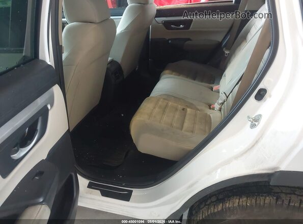7FARW2H29LE001665 2020 HONDA CR-V White VIN կոդի պիտակի տեսք