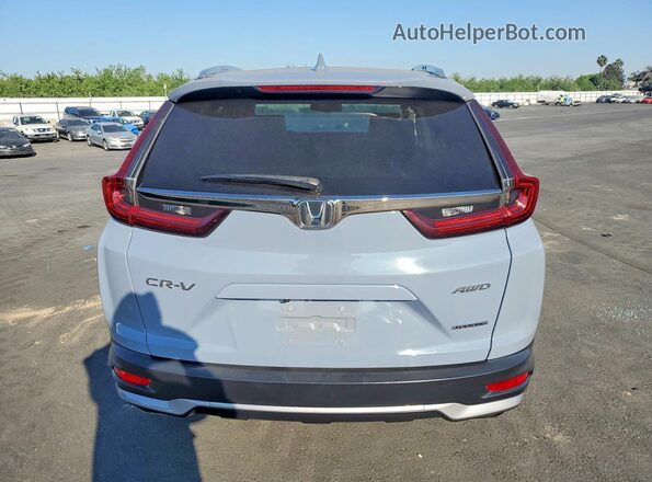7FARW2H98LE004389 2020 HONDA CR-V Blue Widok z tyłu