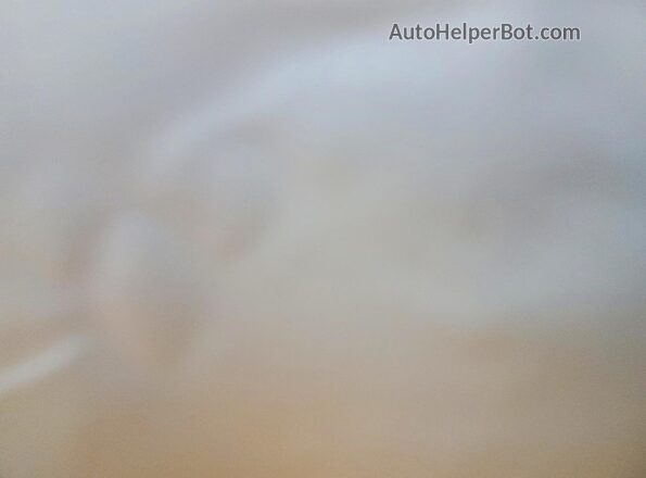 7SAYGDED3TF389081 2026 TESLA MODEL Gray Вид задніх сидінь