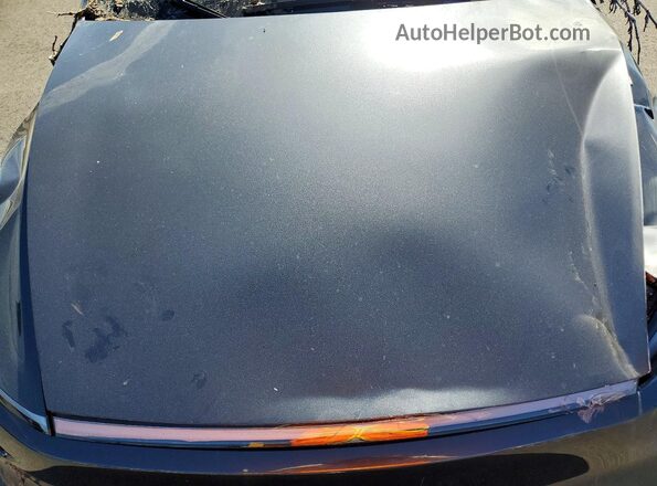 7SAYGDED3TF389081 2026 TESLA MODEL Gray Вид задньої частини салону