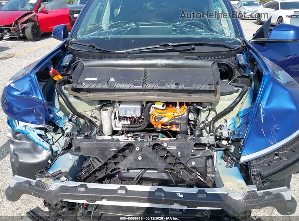 7SAYGDED9TF550890 2026 TESLA MODEL Y Синий Вид сзади