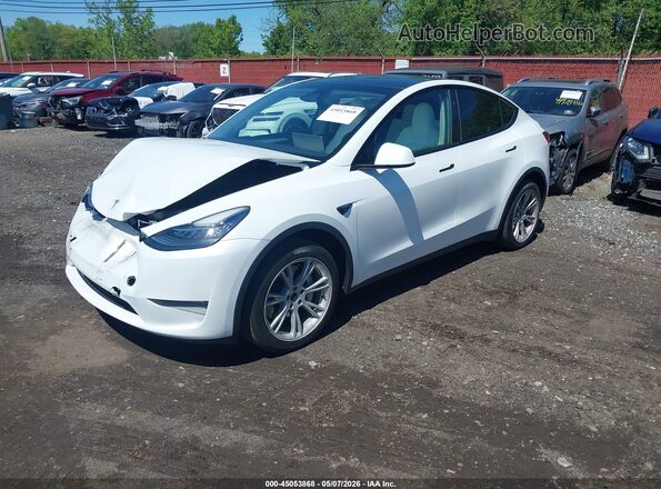 7SAYGDEE2PA141772 2023 TESLA MODEL Y White 