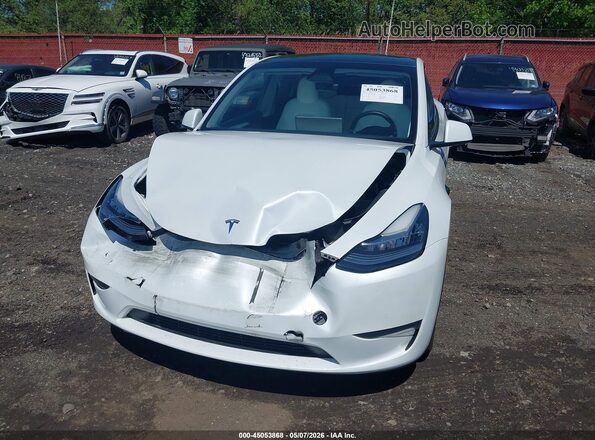 7SAYGDEE2PA141772 2023 TESLA MODEL Y White 