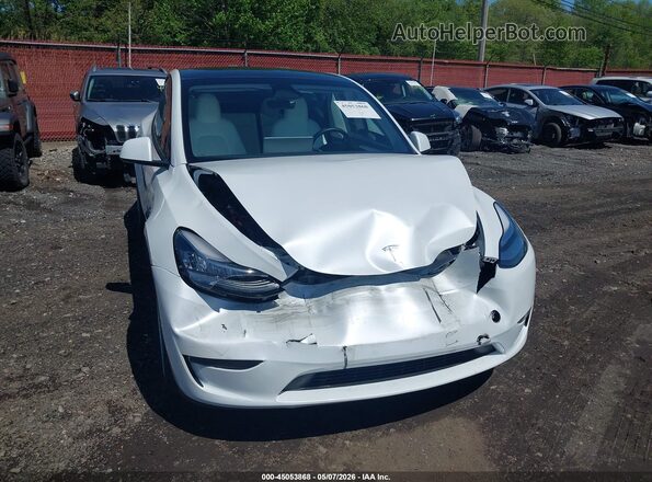 7SAYGDEE2PA141772 2023 TESLA MODEL Y White 