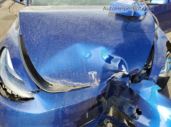 7SAYGDEEXSF263436 2025 TESLA MODEL Blue 