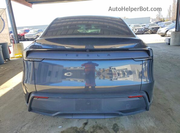7SAYGDEEXTF561602 2026 TESLA MODEL Gray Հետևի տեսք