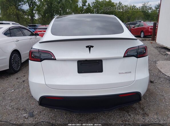 7SAYGDEF1PF700983 2023 TESLA MODEL Y White 