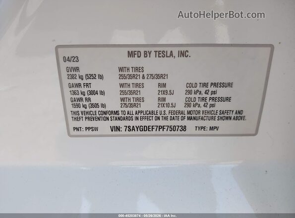 7SAYGDEF7PF750738 2023 TESLA MODEL Y White 