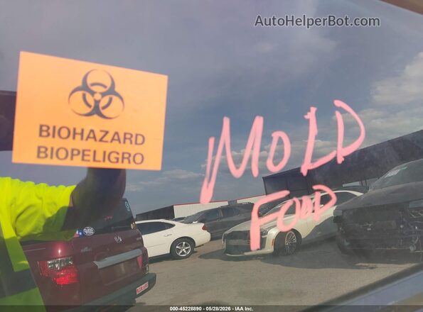 7SAYGDEFXPF802279 2023 TESLA MODEL Y Gray Widok tylnych siedzeń