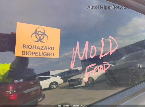 7SAYGDEFXPF802279 2023 TESLA MODEL Y Gray Widok z tyłu