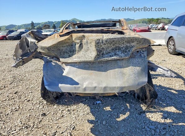 7SAYGDEFXRF080346 2024 TESLA MODEL Burn Widok z tyłu