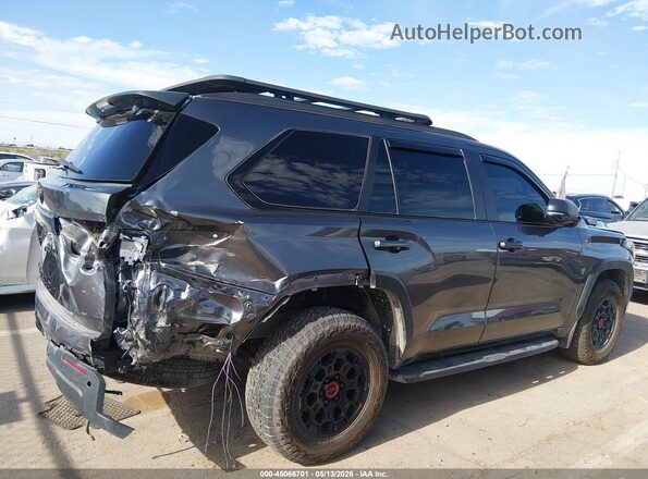 7SVAAABA0SX062978 2025 TOYOTA SEQUOIA Gray Սալոնի հետևի տեսք
