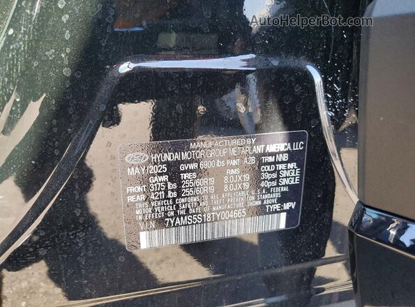 7YAMS5S18TY004665 2026 HYUNDAI IONIQ Черный Панорамный вид салона 360°