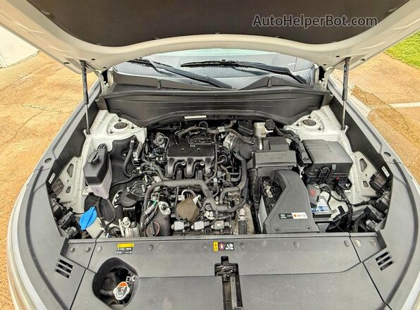 KM8R14HE6LU037087 2020 HYUNDAI PALISADE White 
