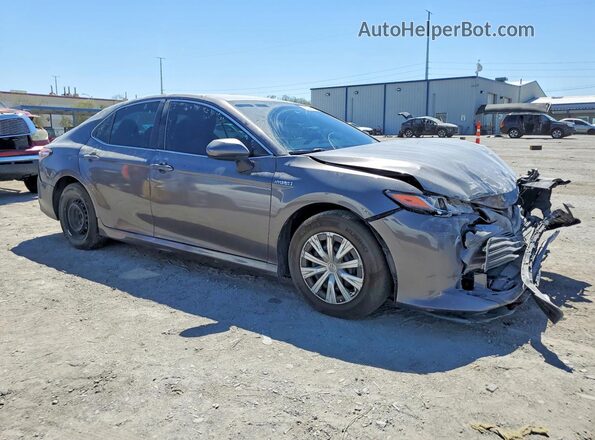 4T1B31HK0KU517446 2019 TOYOTA CAMRY Gray 
