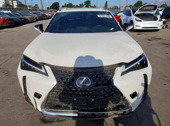 JTHX6JBH5R2191078 2024 LEXUS UX Белый Вид сзади