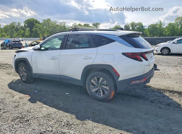 KM8JBCD18RU156520 2024 HYUNDAI TUCSON White 