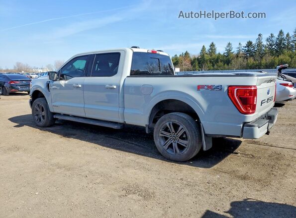 1FTFW1ED4PFA67539 2023 FORD F150 Gray 