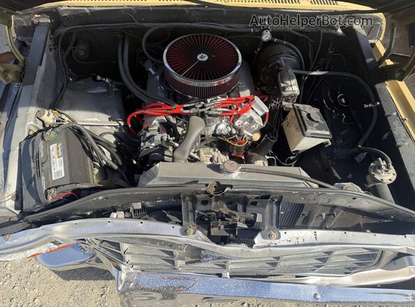 F10BNBC3094 1978 FORD F100 Beige Вид спереду