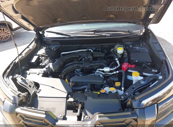 JF2BUPED3TY520492 2026 SUBARU OUTBACK Gray Widok z tyłu