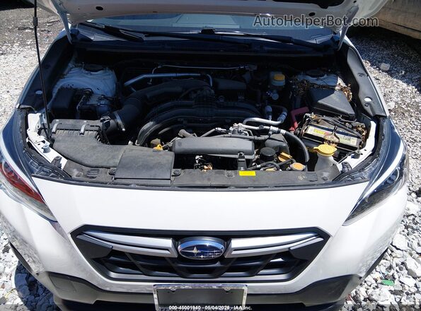 JF2GTAEC3M8248220 2021 SUBARU CROSSTREK White უკანა ხედი