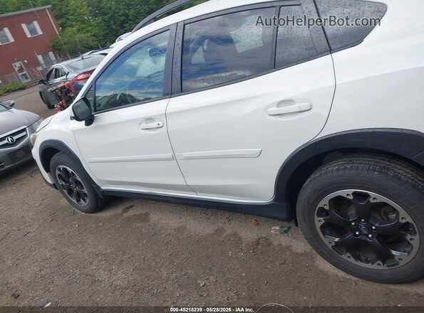 JF2GTAPC5P8284234 2023 SUBARU CROSSTREK White Սալոնի հետևի տեսք