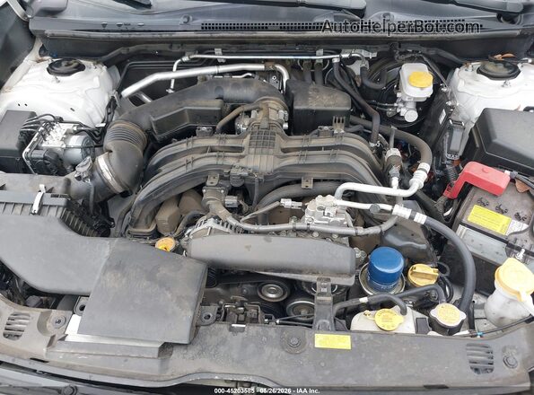 JF2GTHMC5PH262652 2023 SUBARU CROSSTREK White Widok z tyłu