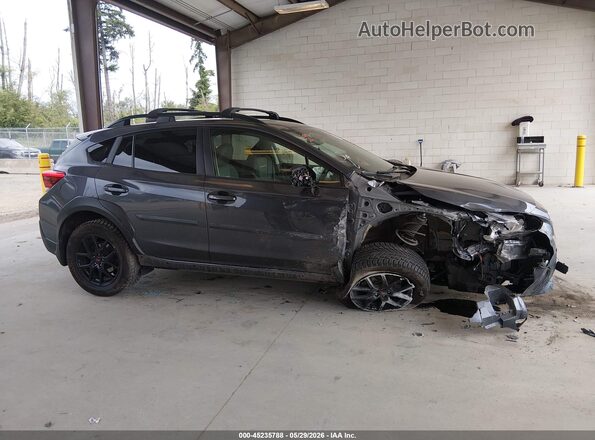 JF2GTHSC6MH671645 2021 SUBARU CROSSTREK Gray სალონის 360-გრადუსიანი ხედი