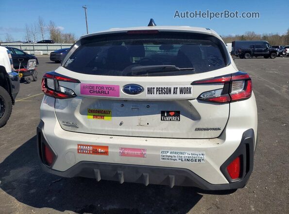 JF2GUABC9R8396414 2024 SUBARU CROSSTREK Silver Вид ззаду