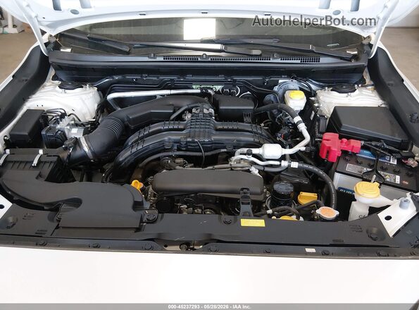 JF2GUADC1R8246570 2024 SUBARU CROSSTREK White Вид ззаду