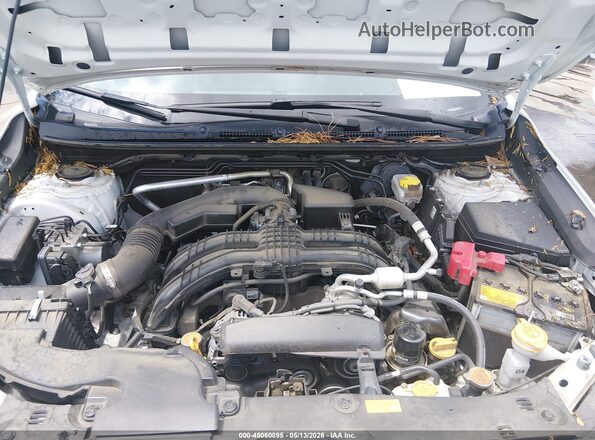 JF2GUADC9R8387757 2024 SUBARU CROSSTREK Белый Вид сзади