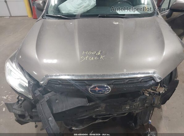 JF2SJGTC7HH439263 2017 SUBARU FORESTER2. Brown Հետևի տեսք