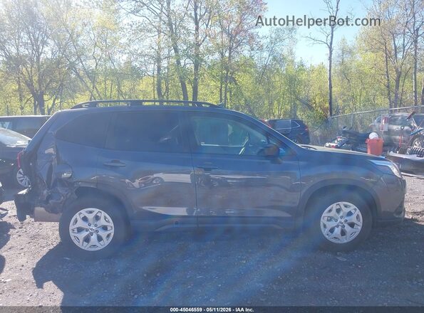 JF2SKACC2PH433492 2023 SUBARU FORESTER Gray Widok wnętrza z tyłu