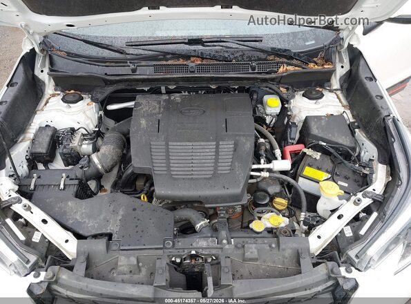 JF2SKAJC5PH506082 2023 SUBARU FORESTER White Հետևի տեսք