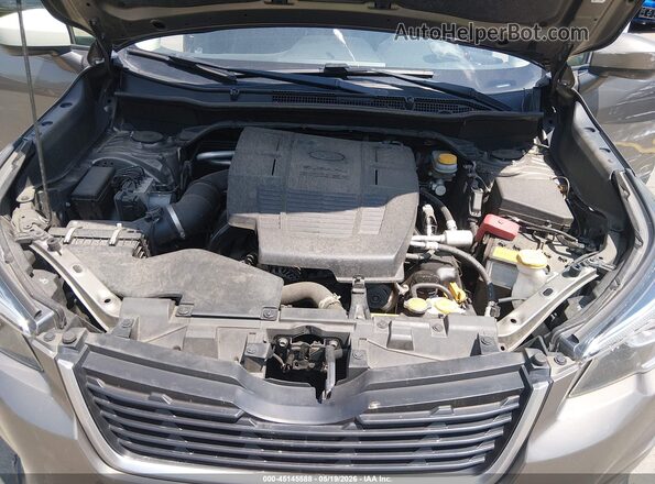JF2SKAJC8LH495752 2020 SUBARU FORESTER Gold Հետևի տեսք